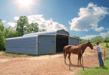 Materials for a Lasting Horse Barn