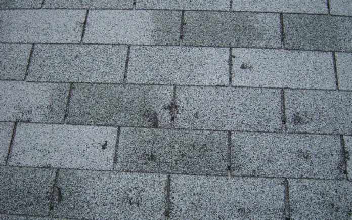 my hail-damage roof