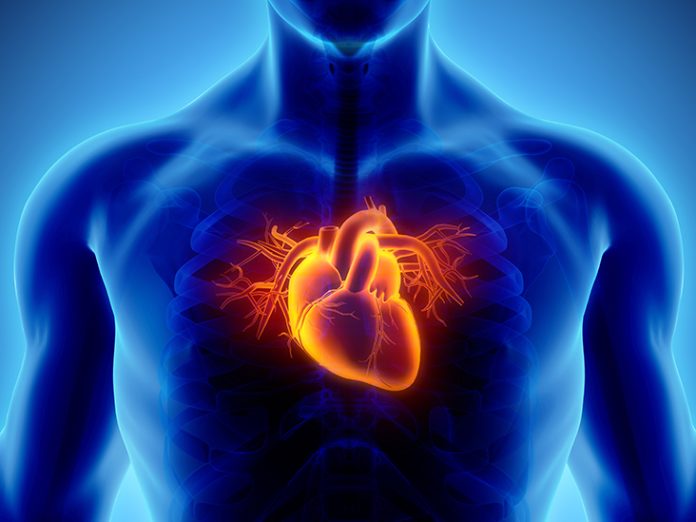 Resarch on coronary heart disease.
