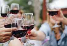 Why You Should Go for Wine Tours