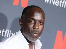 Who is Michael K Williams? (1966-2021) Michael K Williams Net Worth