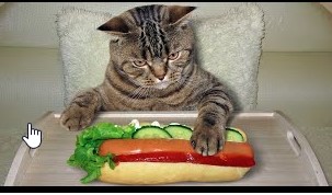 Can Cats Eat Hot Dogs