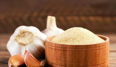 Can Dogs Have Garlic Powder