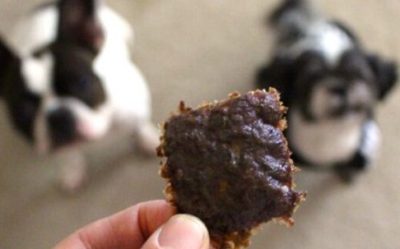Can Dogs Eat Beef Jerky