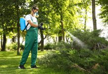 How to Protect Your Yard From Pests Year-Round