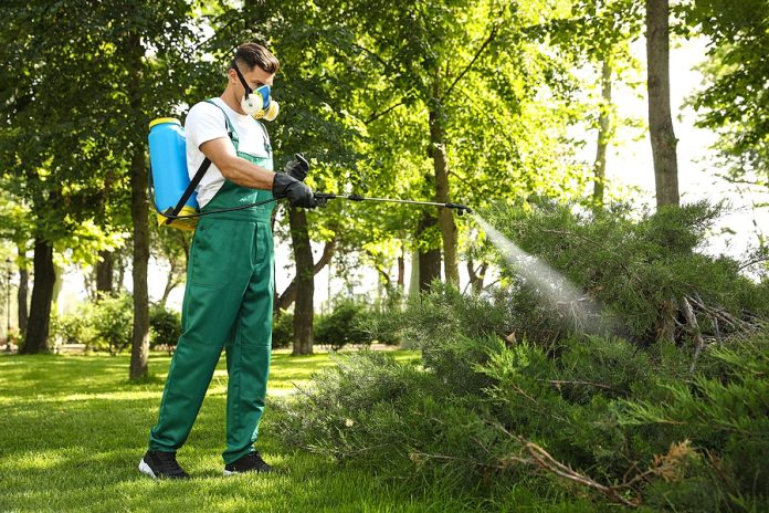 How to Protect Your Yard From Pests Year-Round