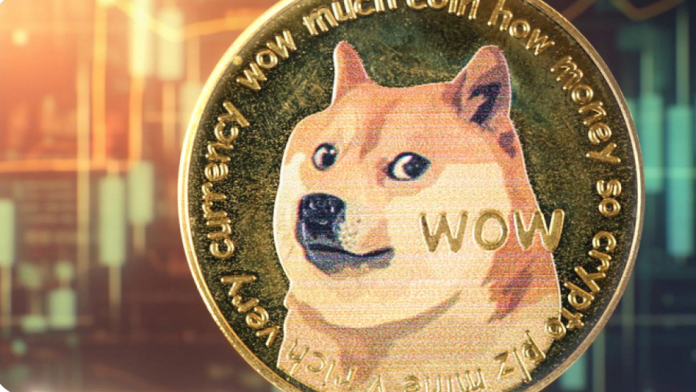 Dogecoin's Dynamics