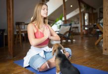 The Benefits of Dog Yoga(Doga)