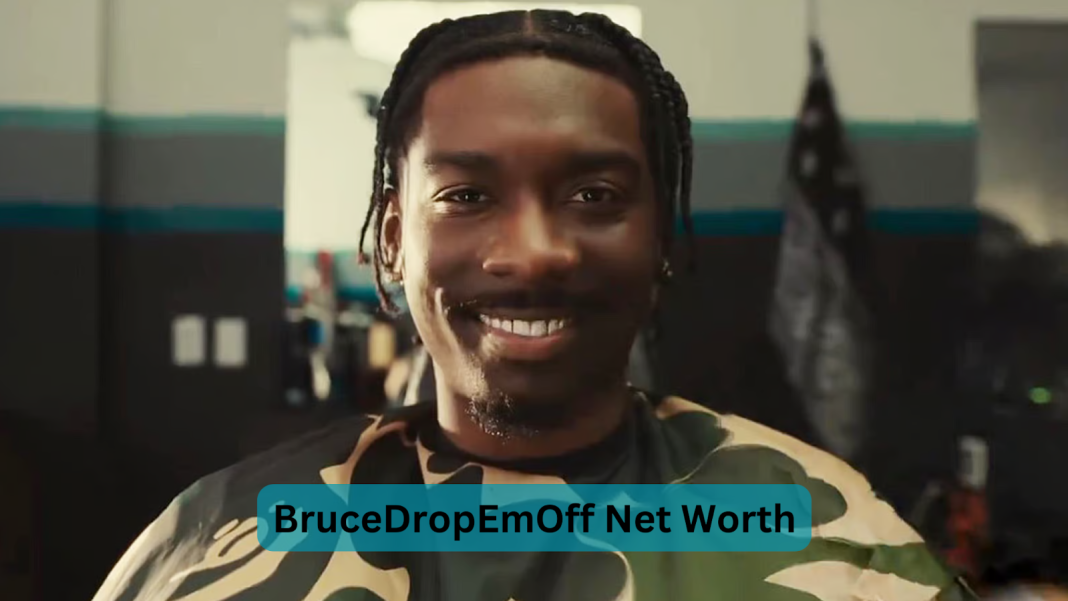 brucedropemoff net worth
