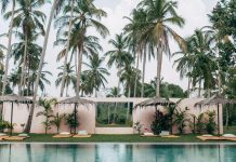 Designing an Outdoor Space that Feels Like a Tropical Retreat