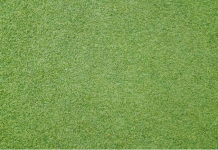 PermaLawn: The Future of Artificial Grass for Sports Pitches artificial grass