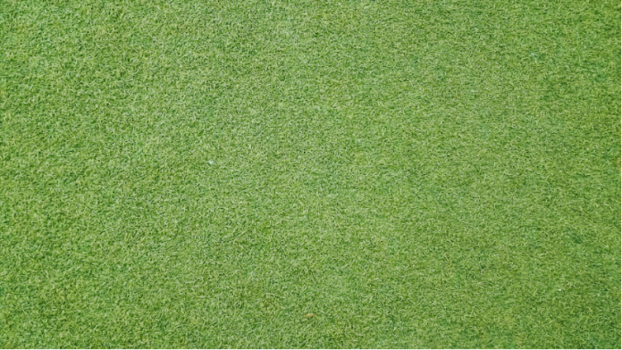 artificial grass